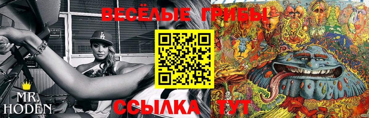 Галлюциногенные грибы Psilocybine cubensis Дзержинский
