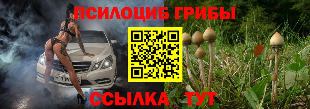 Дзержинский  Галлюциногенные грибы GOLDEN TEACHER  Вход с VPN 
